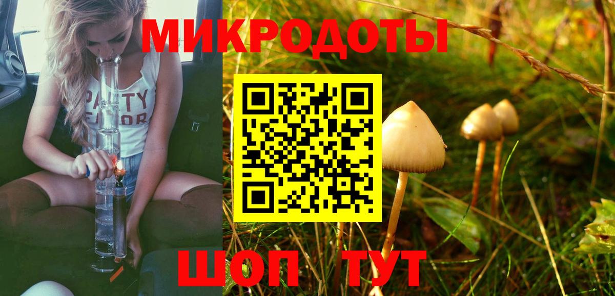 Галлюциногенные грибы прущие грибы  что такое   Псилоцибиновые грибы Psilocybe  Тайшет  Вход с VPN 